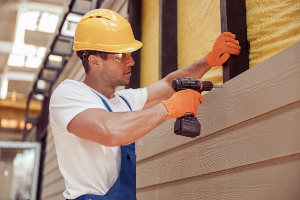 Best Siding Painting and Refinishing  in Bellevue, IL